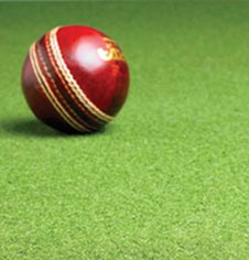 Reliable Cricket Matting for Sale Accessories for All 