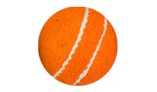 Cricket Fielding Training Balls