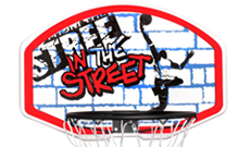 In The Street Basketball Goal