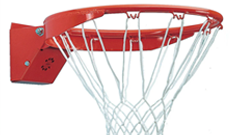 277 Pro Flex 30 Basketball Ring